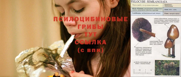 дурь Белоозёрский